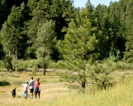 KK's kids and C.J.'s Brother